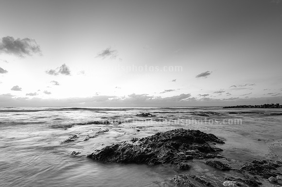 SJP_8196