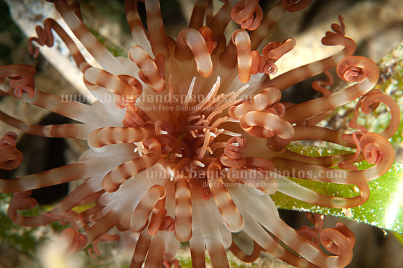 SJ3_3346