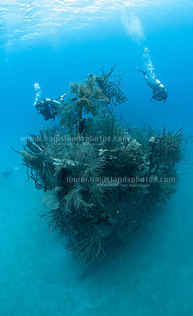 SJ3_7603