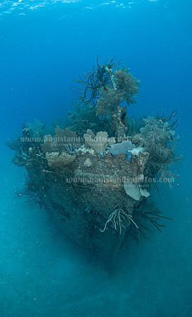 SJ3_7639