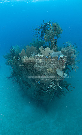 SJ3_7648