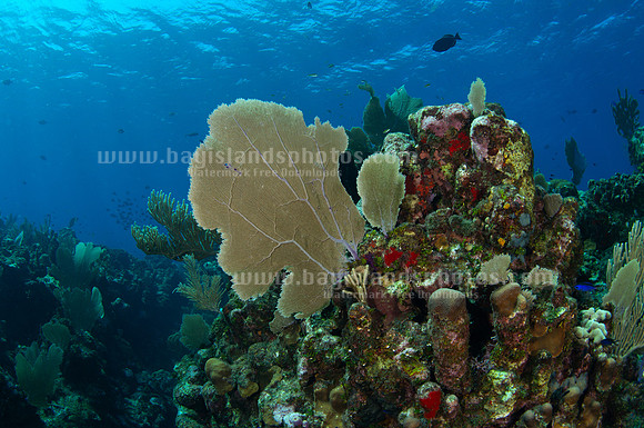 SJ1_5876