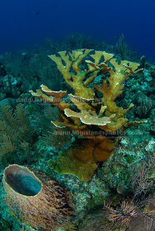SJ1_5903