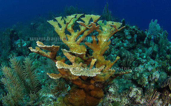 SJ1_5904