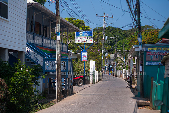 SJ1_6049