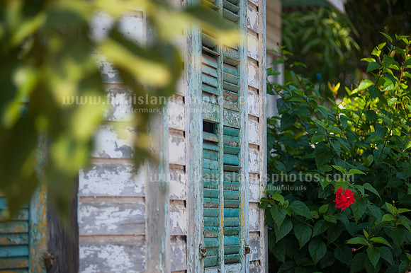 SJ1_6061