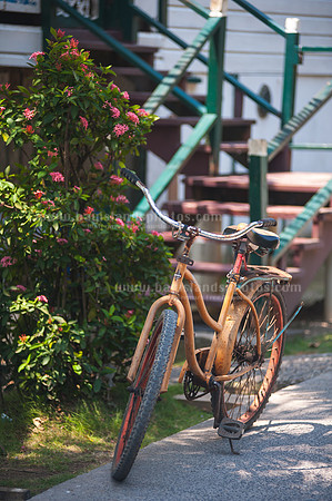 SJ1_6077
