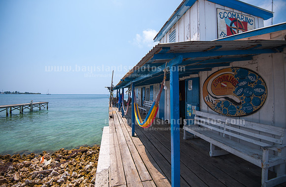SJ1_6096