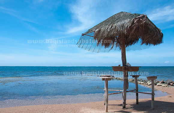 SJP_8466