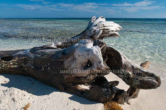 Pigeon Cay, Roatan.