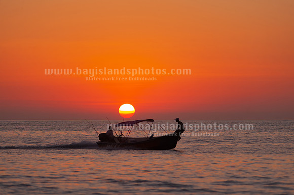 SJ1_2629