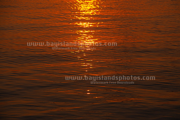 SJ1_3644