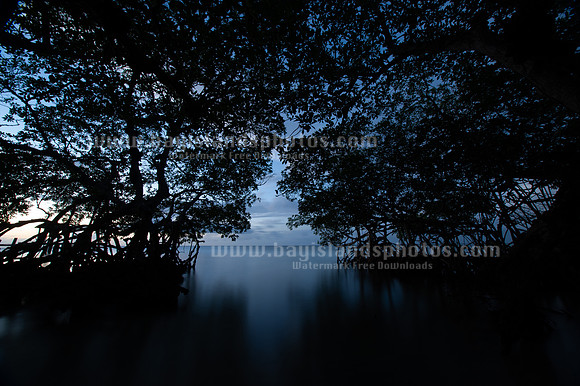 SJ1_6325