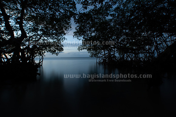 SJ1_6329
