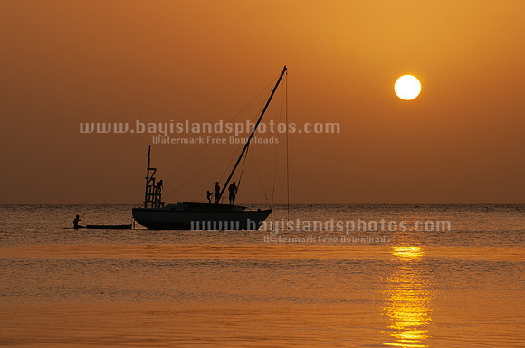 SJP_7793