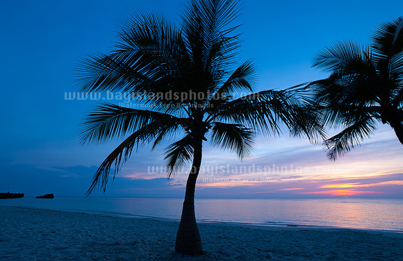 SJP_7801 copy