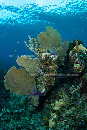 SJ1_5836