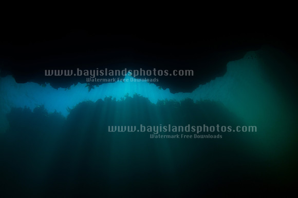 SJ1_5985