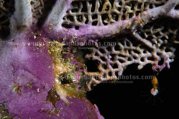 SJ1_8796