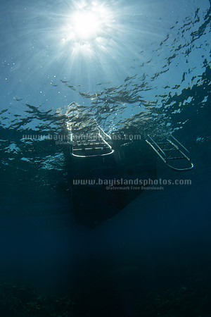 SJ1_6616