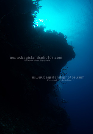 SJ1_5744